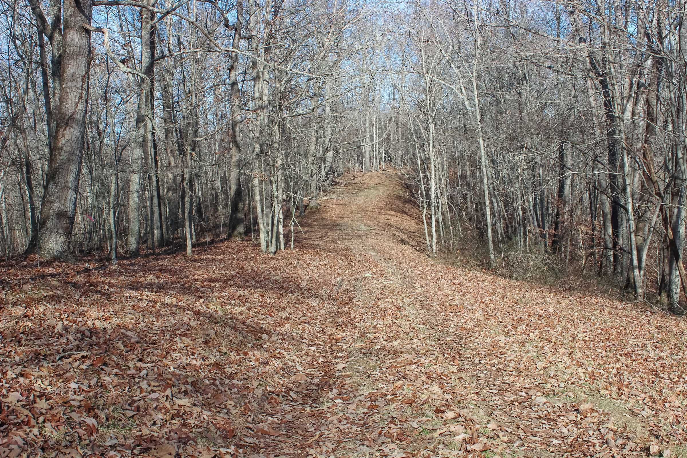 Serenity Creek Tract 5 photo 13