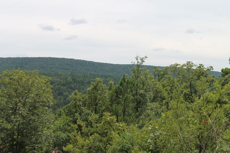 Trophy Ridge Phase III Tract 33 photo 2