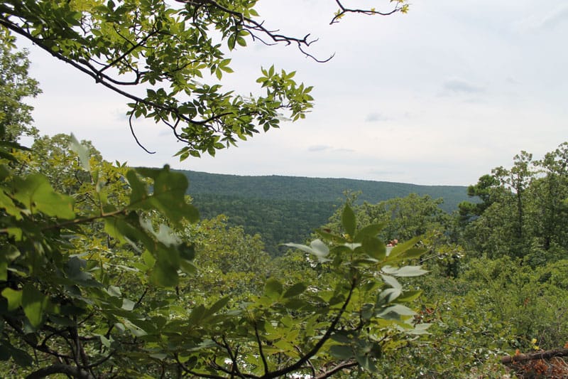Trophy Ridge Phase III Tract 33 photo 5