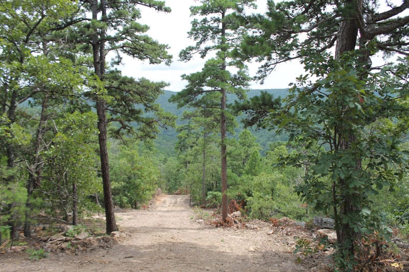 Trophy Ridge Phase III Tract 33 photo 1