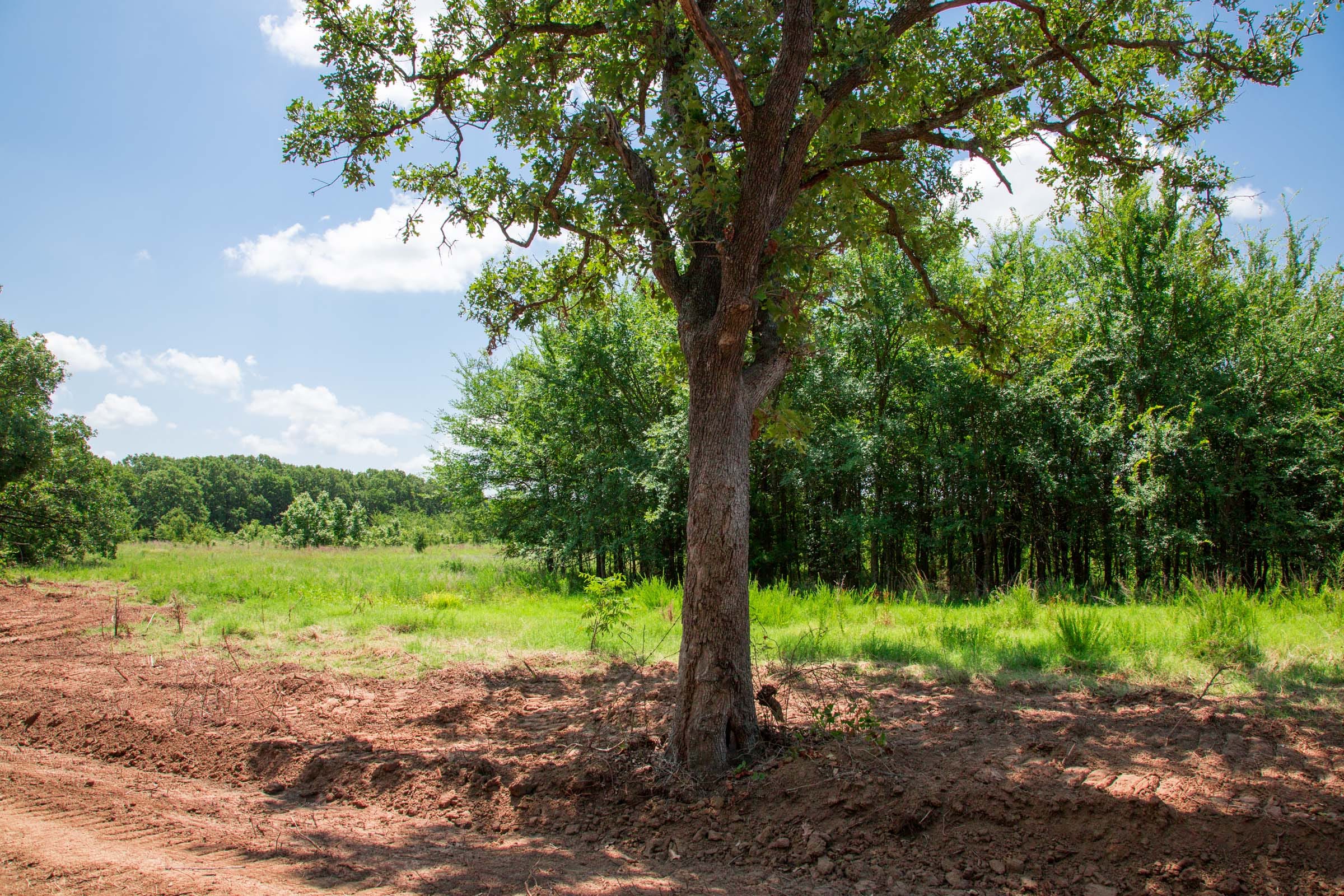 Deep Fork Ranch Tract 6 photo 4