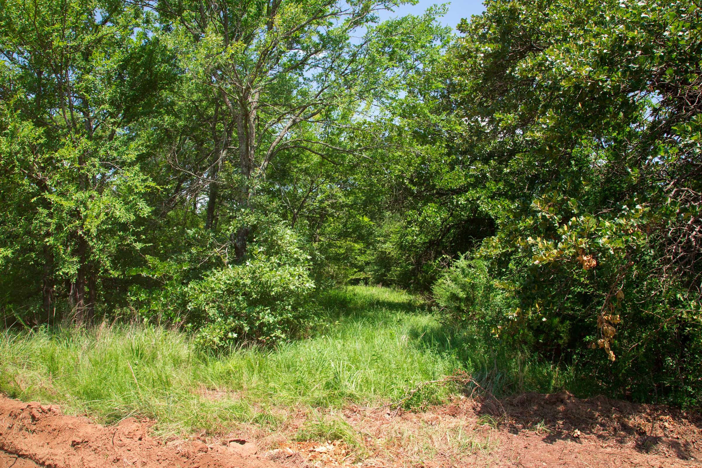 Deep Fork Ranch Tract 6 photo 6