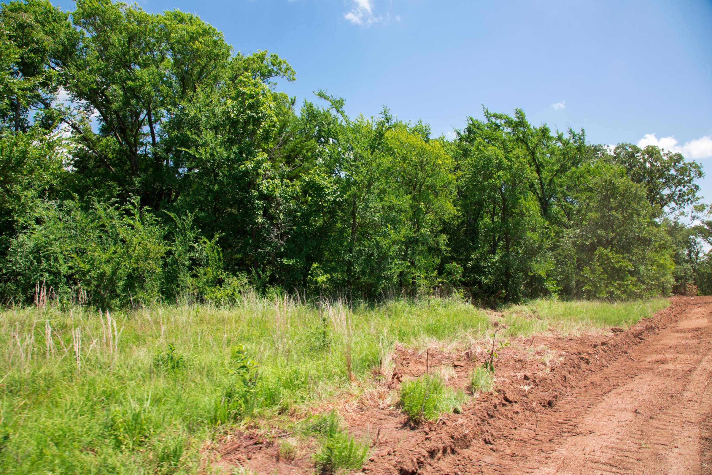 Deep Fork Ranch Tract 6 photo 8
