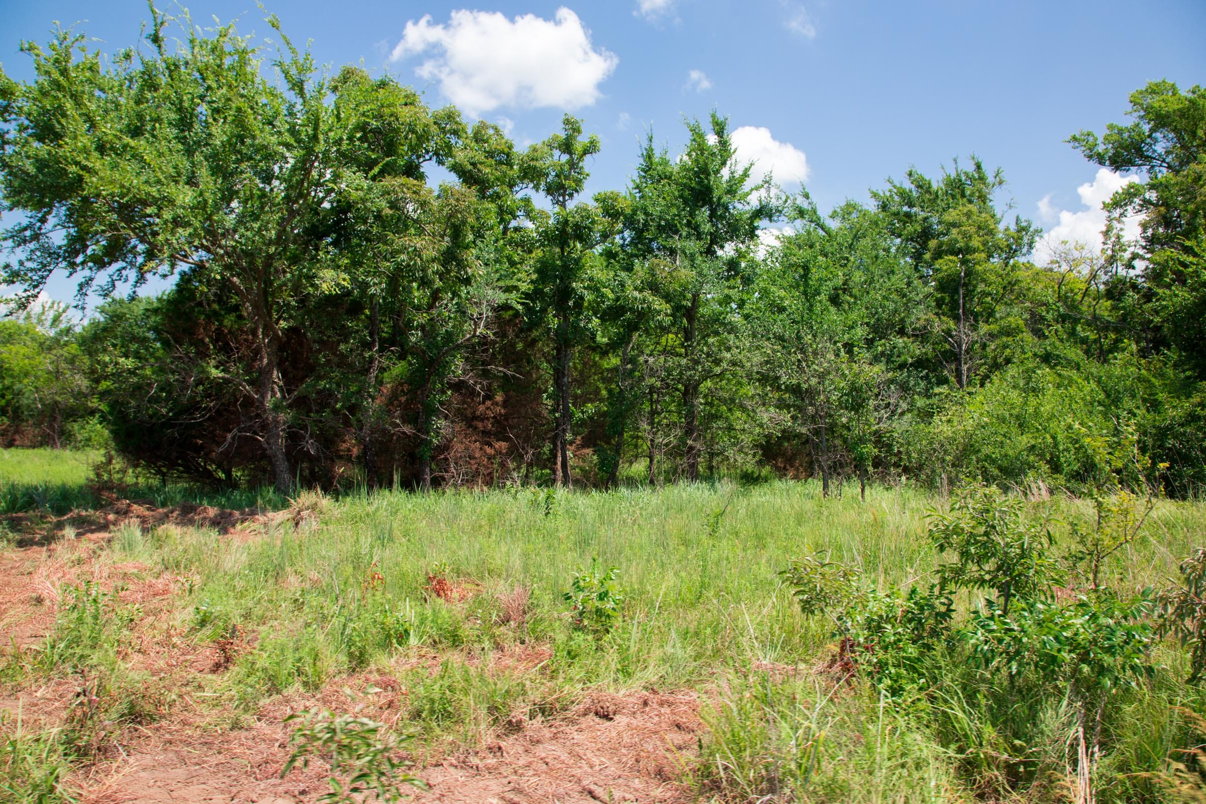 Deep Fork Ranch Tract 6 photo 9