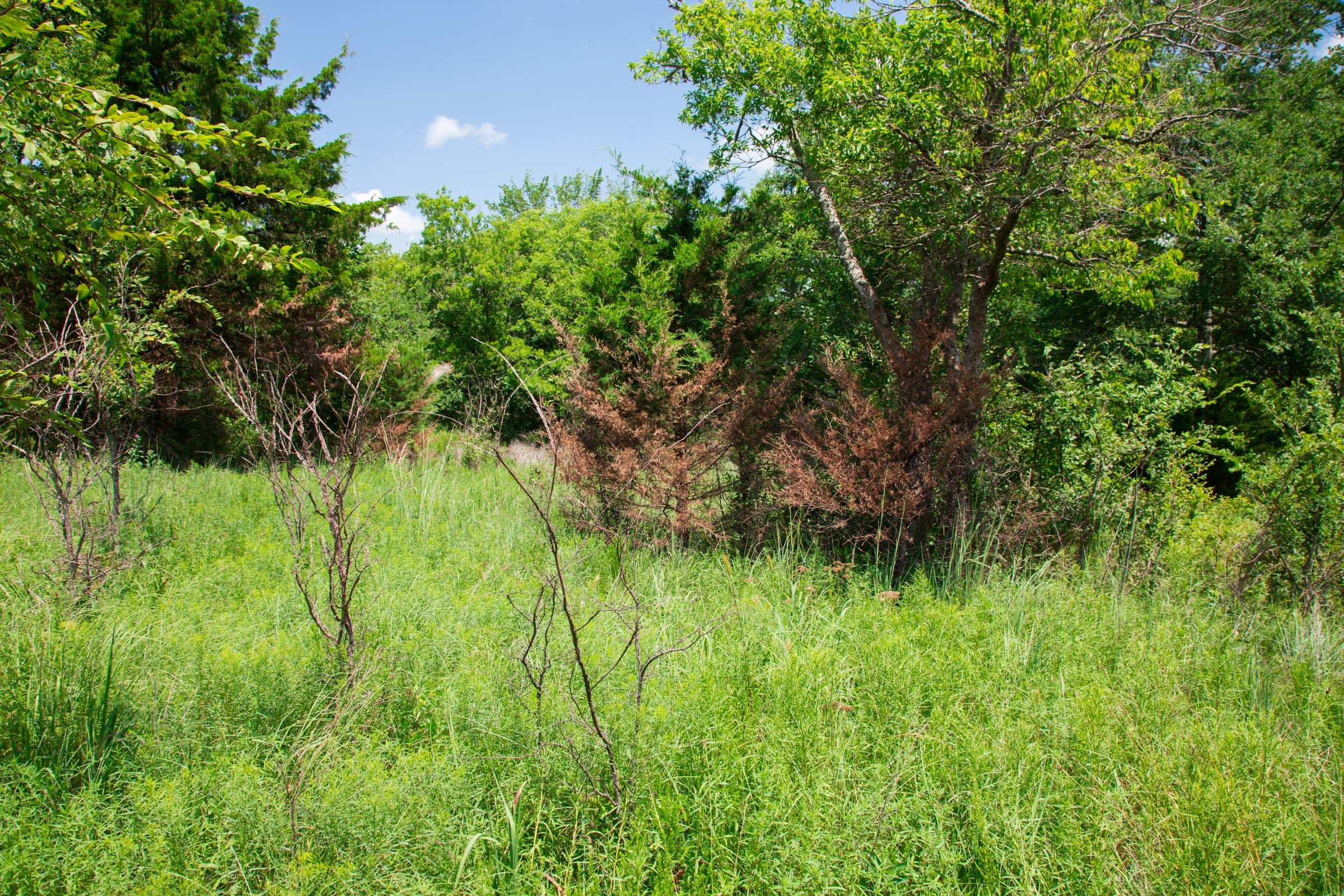 Deep Fork Ranch Tract 6 photo 10