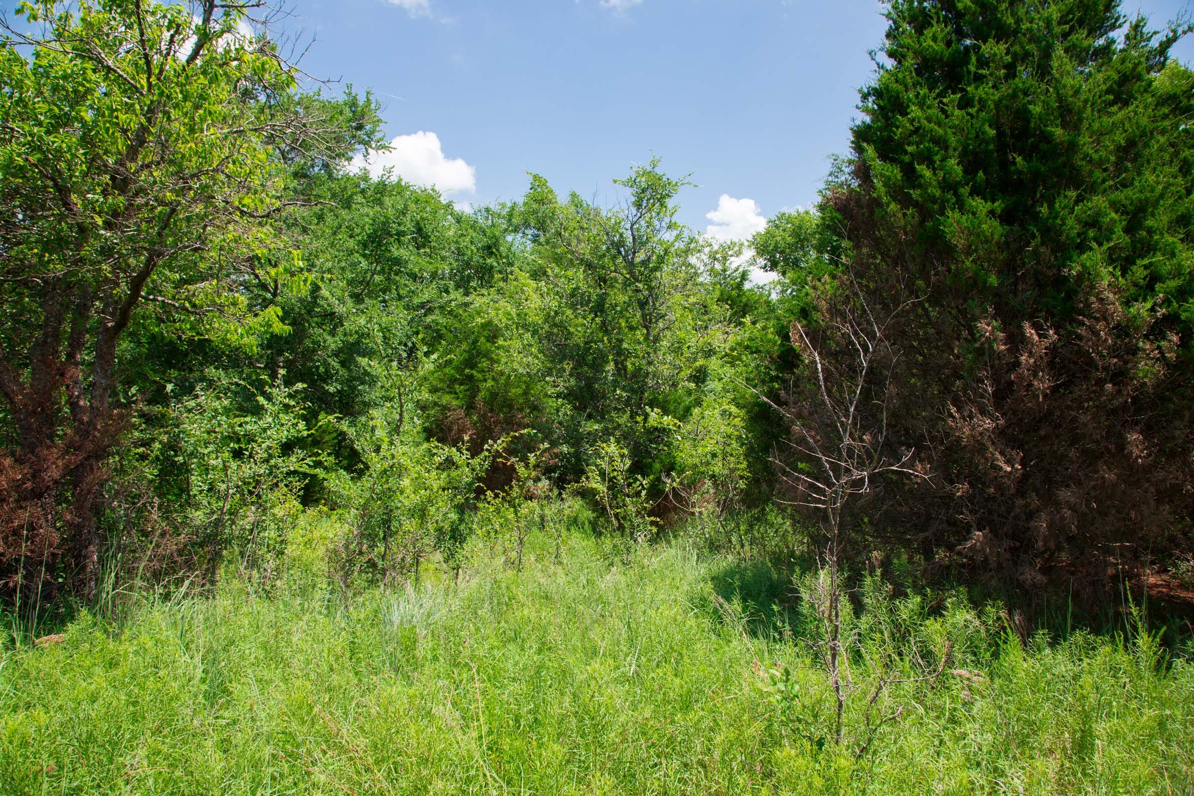 Deep Fork Ranch Tract 6 photo 11