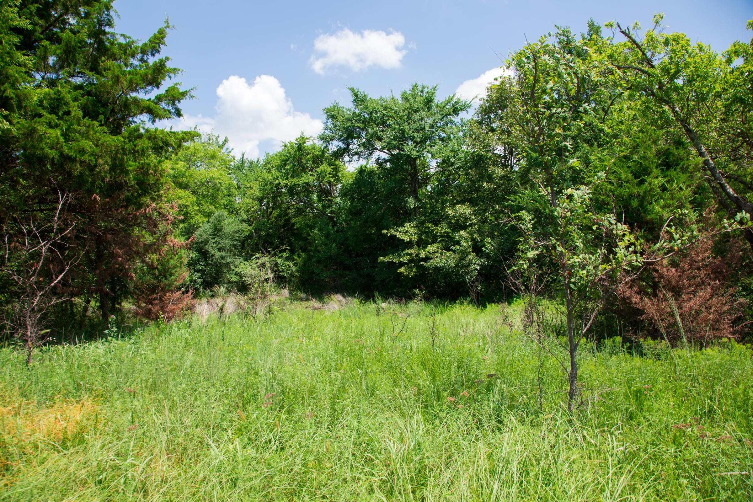 Deep Fork Ranch Tract 6 photo 12