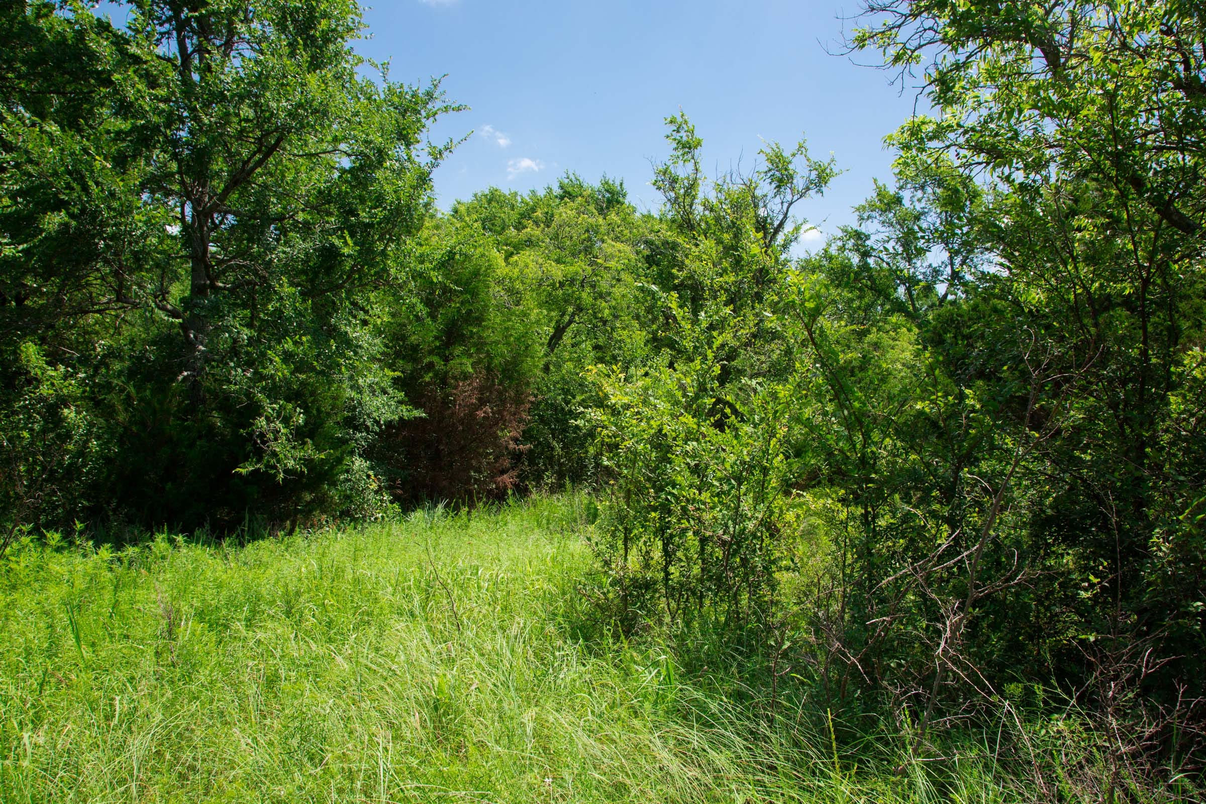 Deep Fork Ranch Tract 6 photo 13