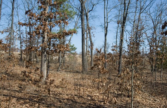 Ranches Of Montauk Park Tract 11 photo 1