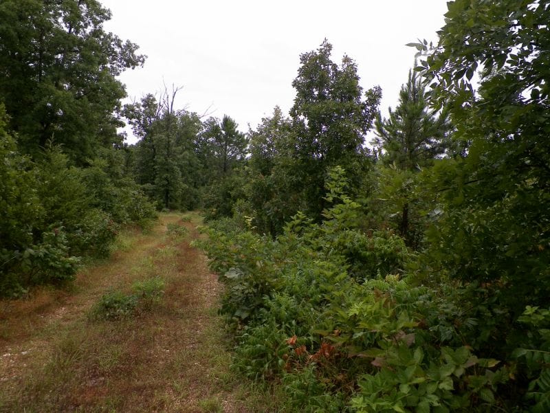Ranches Of Montauk Park Tract 11 photo 8