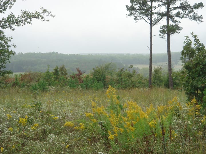 Ranches Of Montauk Park Tract 11 photo 15