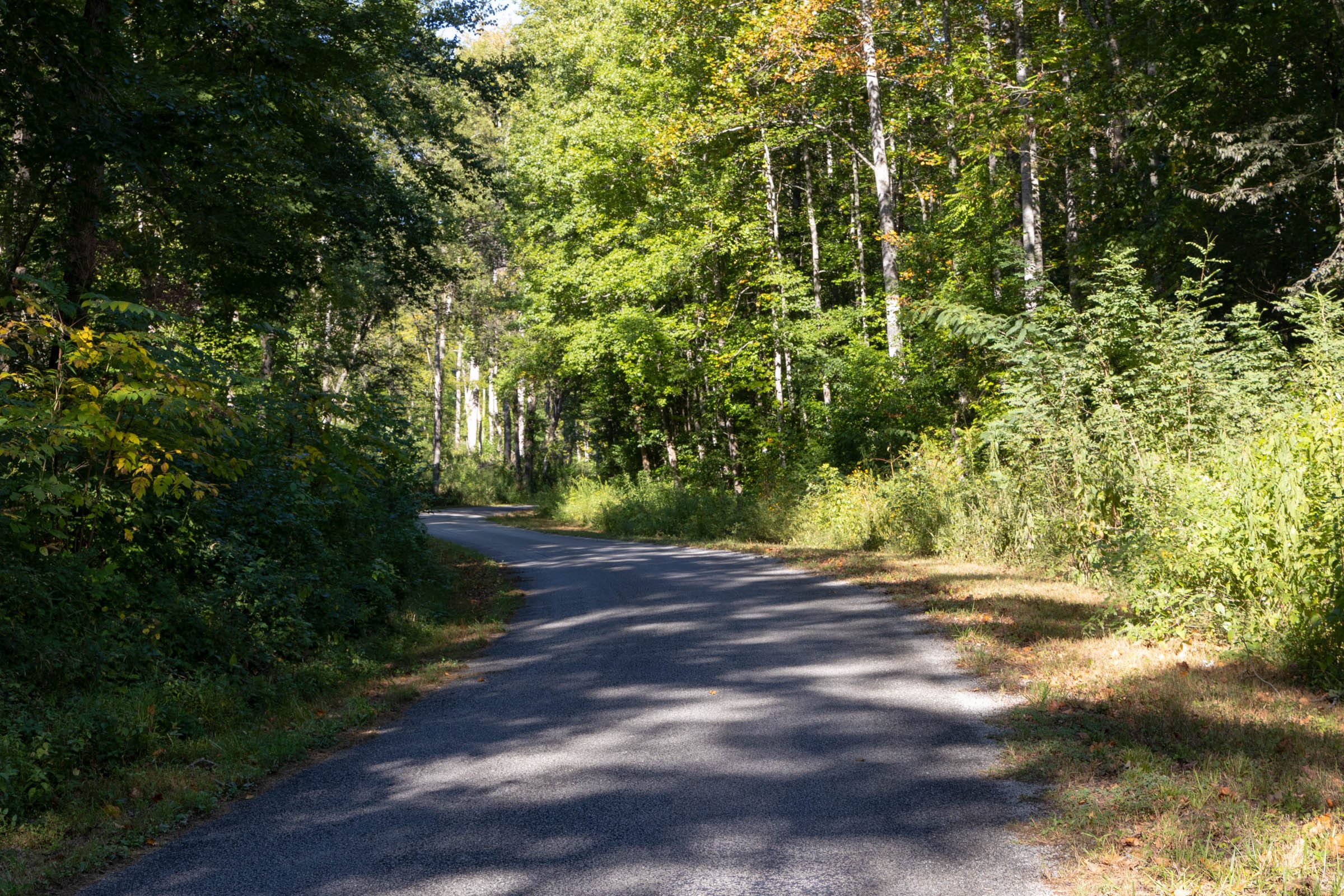 Big White Oak Tract 10 photo 4