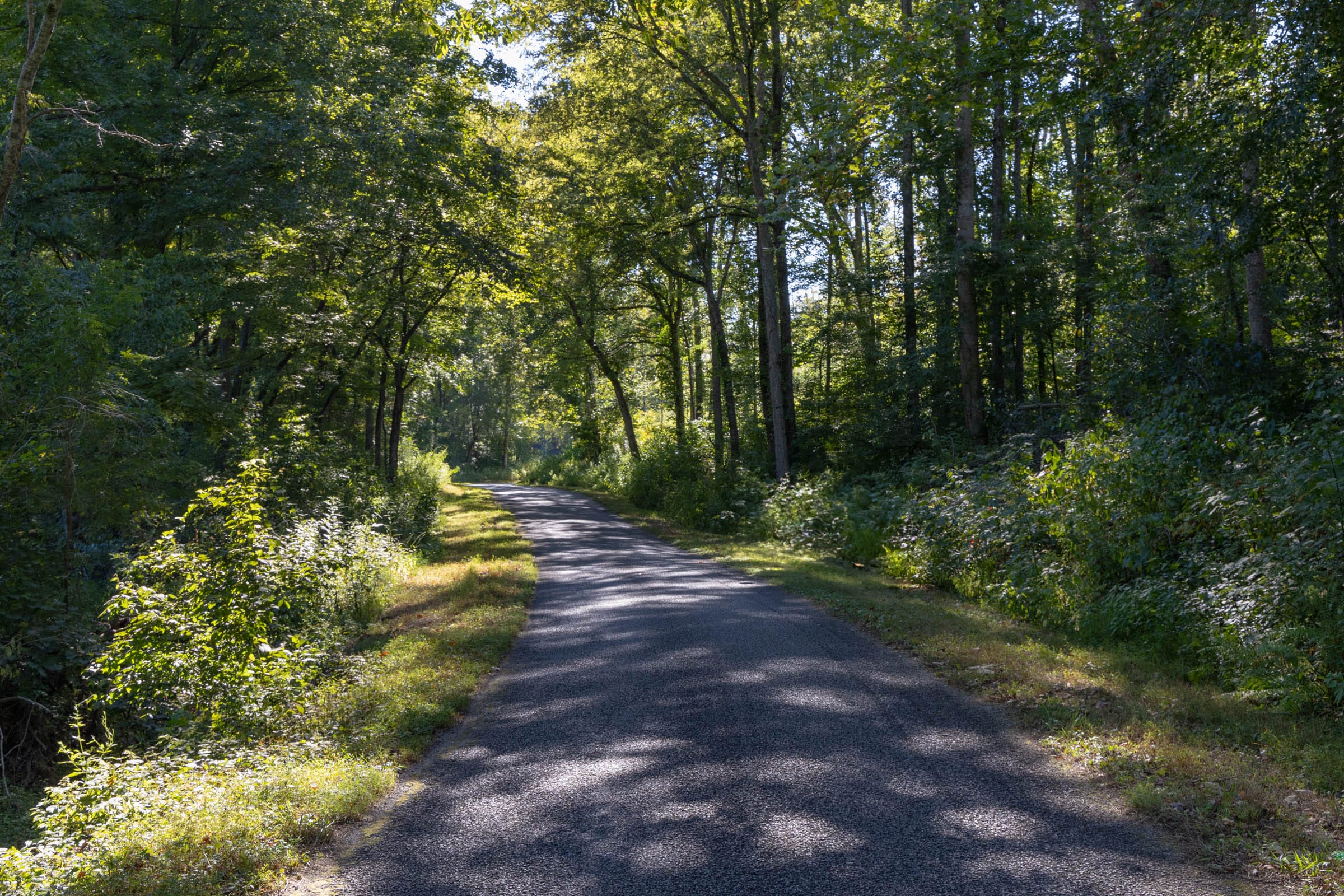 Big White Oak Tract 10 photo 1