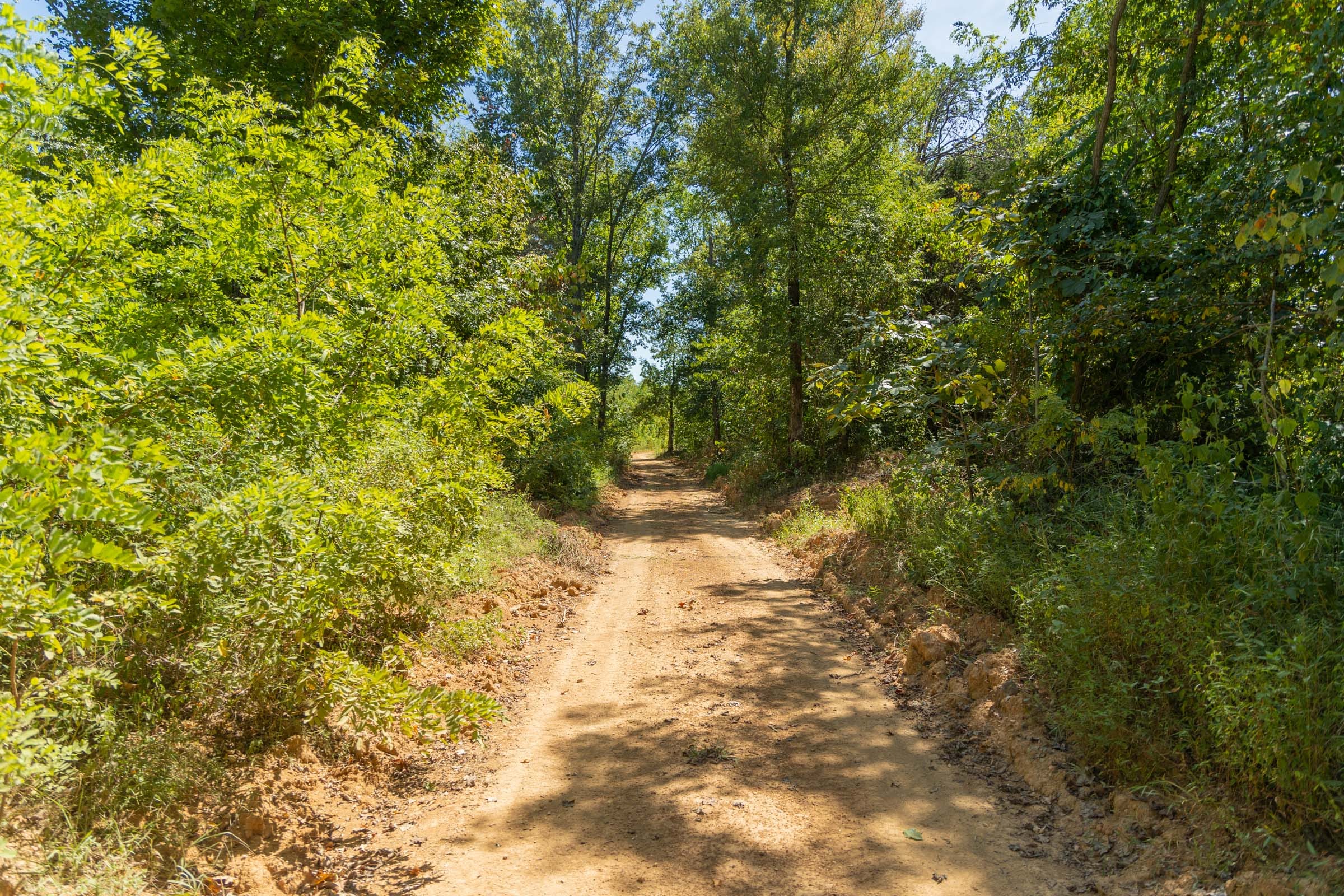 Big White Oak Tract 10 photo 9