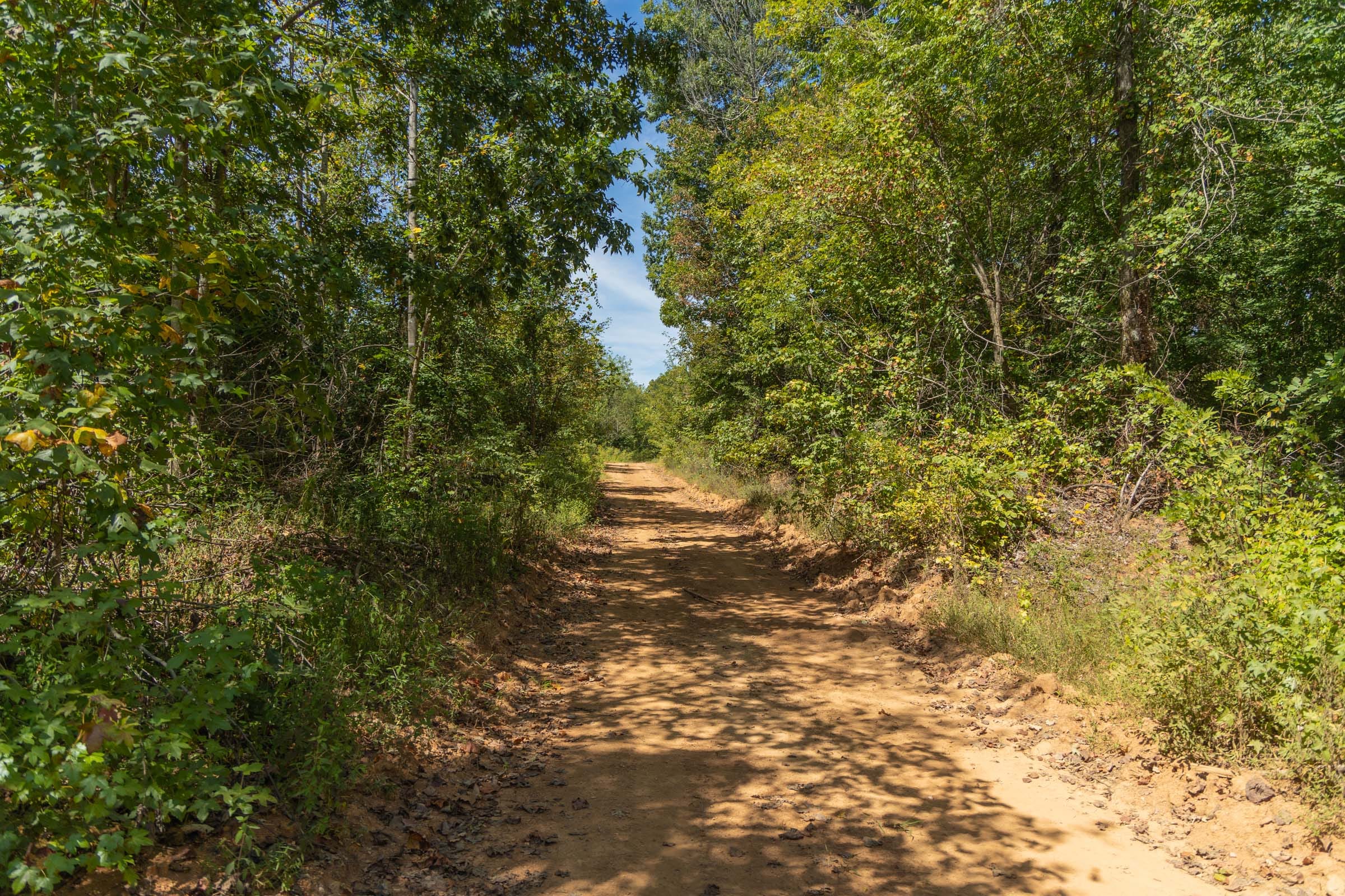 Big White Oak Tract 10 photo 7