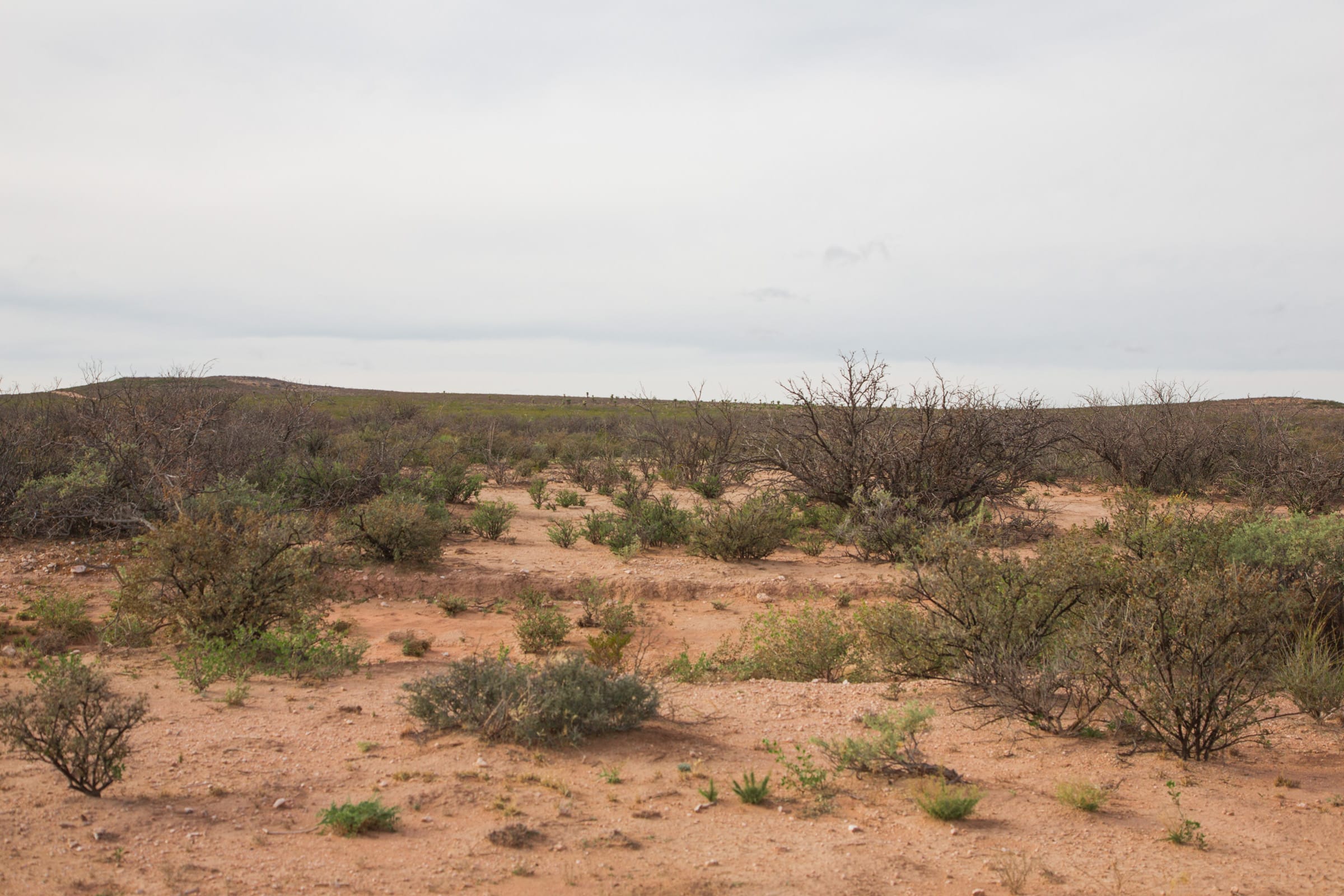 Sunset Ranches Tract 24 photo 2