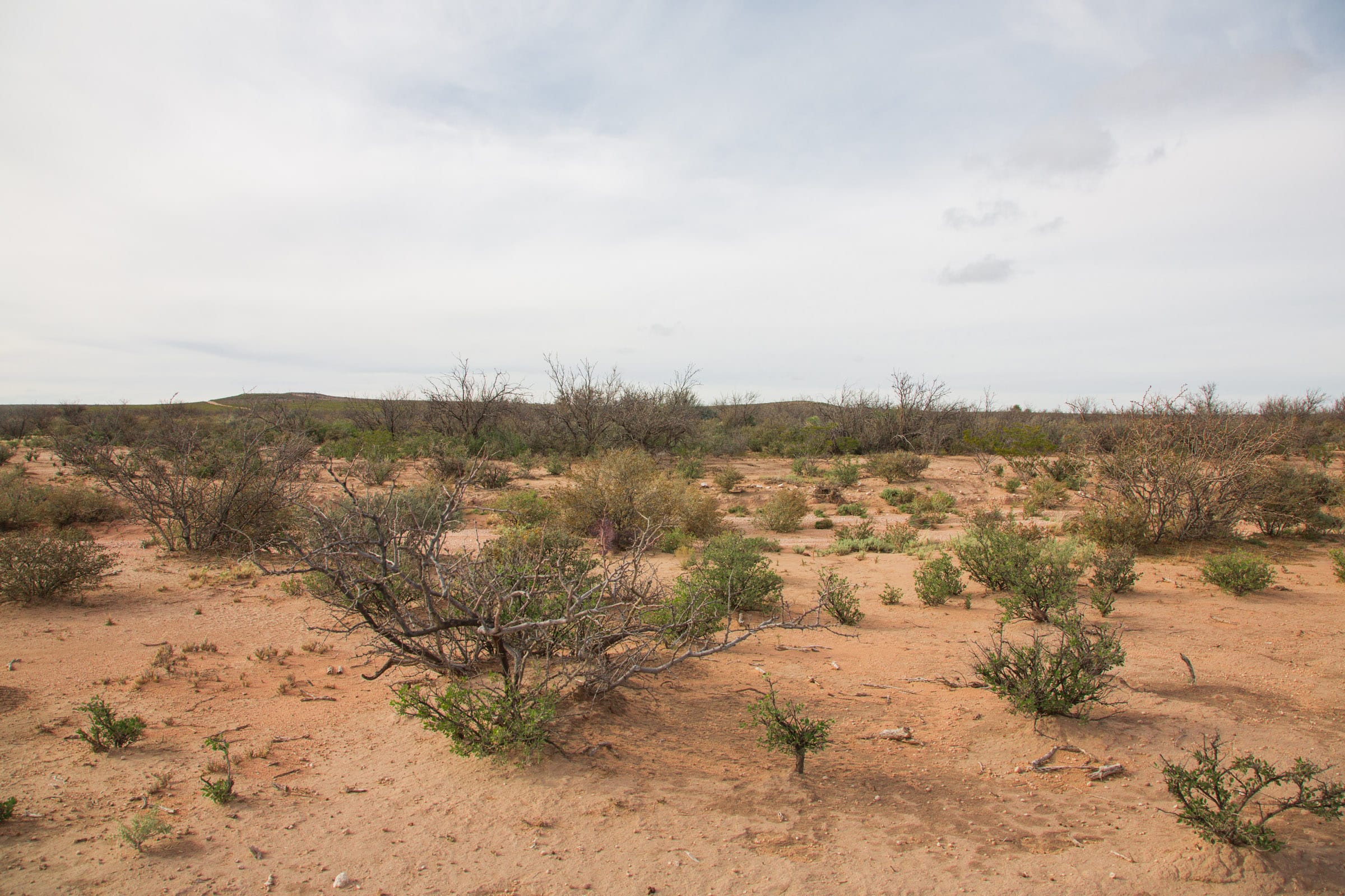 Sunset Ranches Tract 24 photo 3