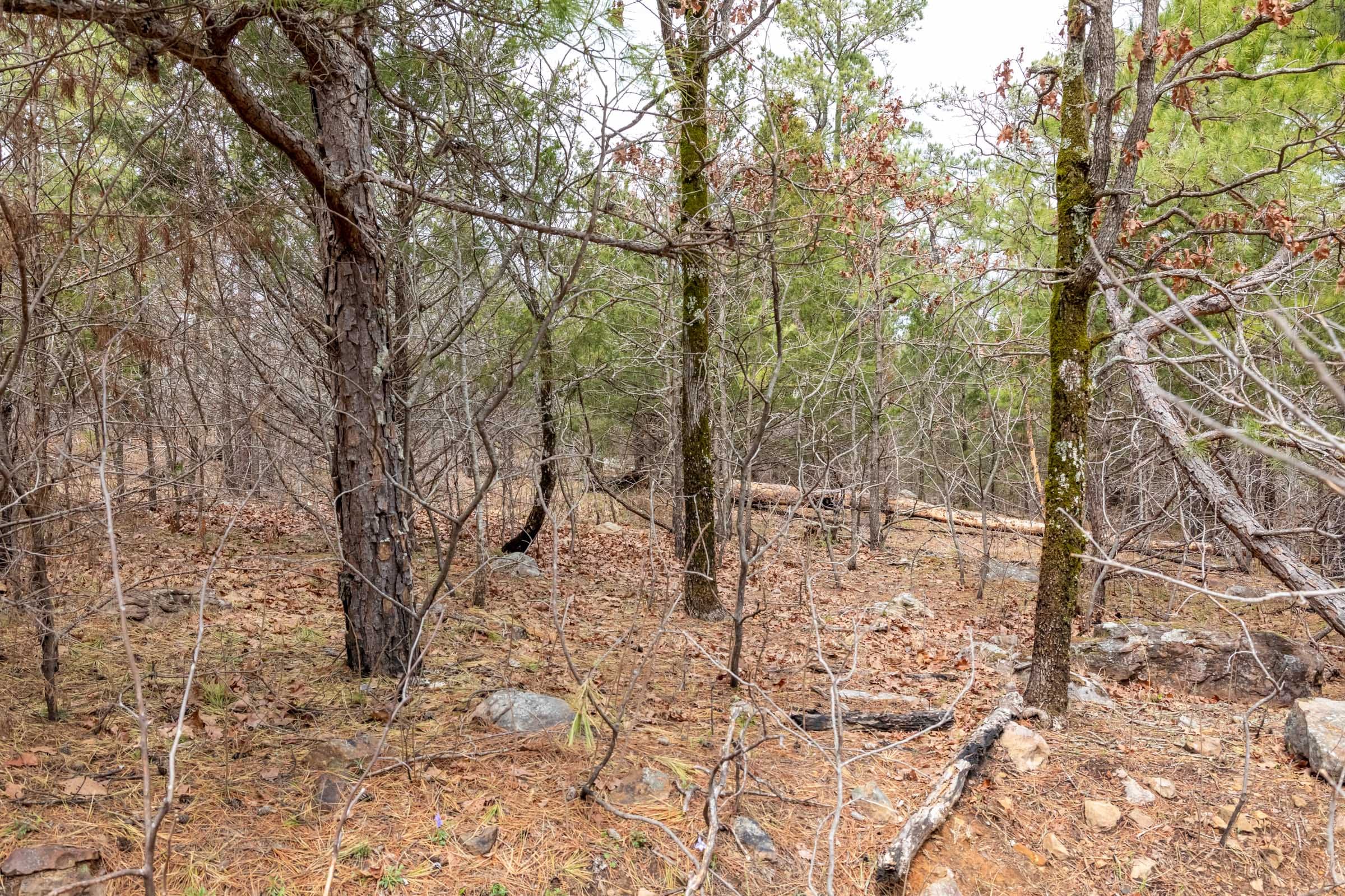 Stone Bridge Phase III Tract 173 photo 4