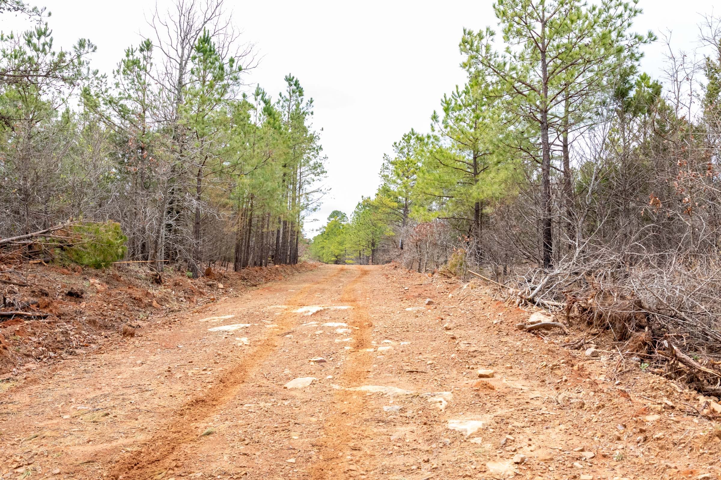 Stone Bridge Phase III Tract 173 photo 3