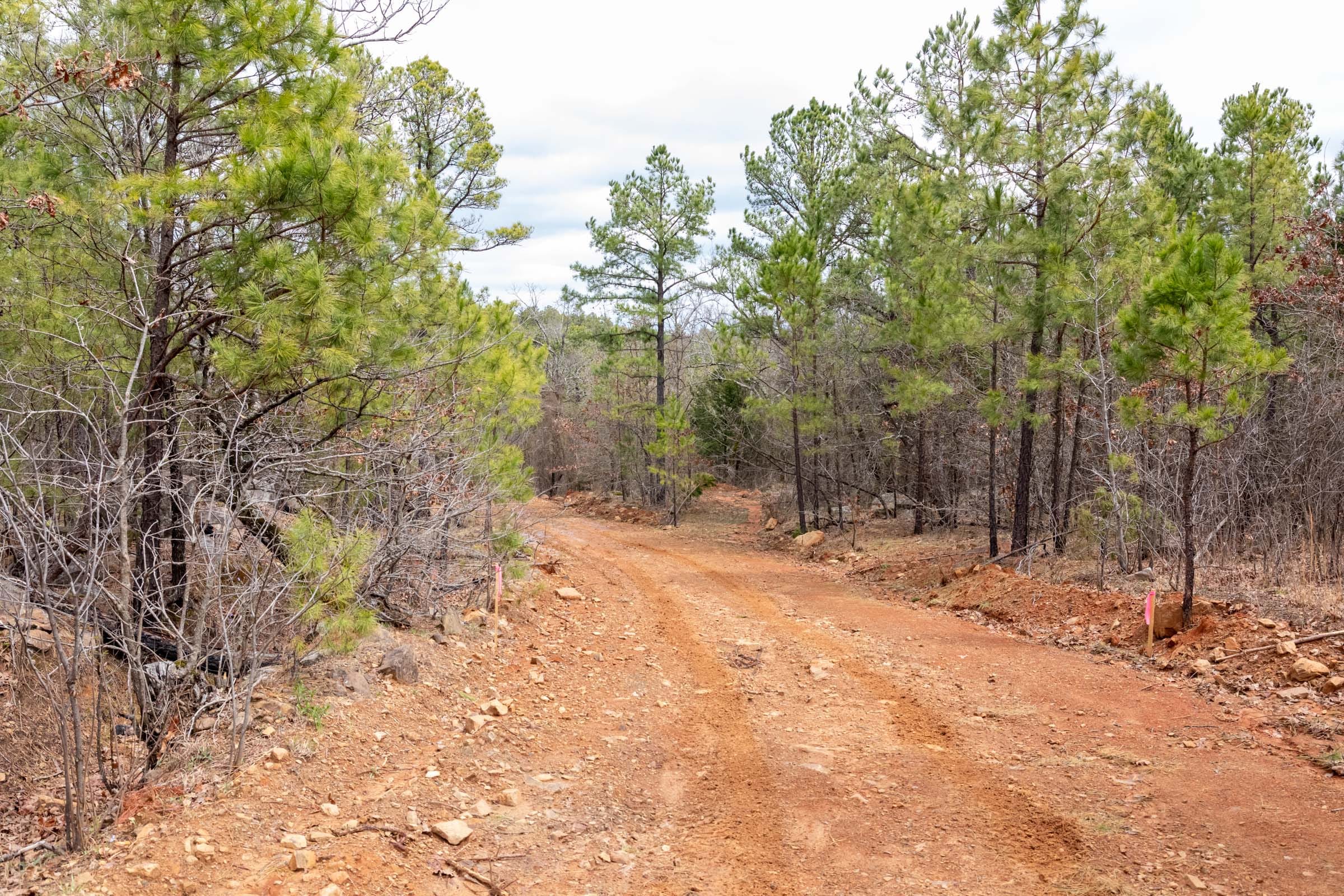 Stone Bridge Phase III Tract 173 photo 1