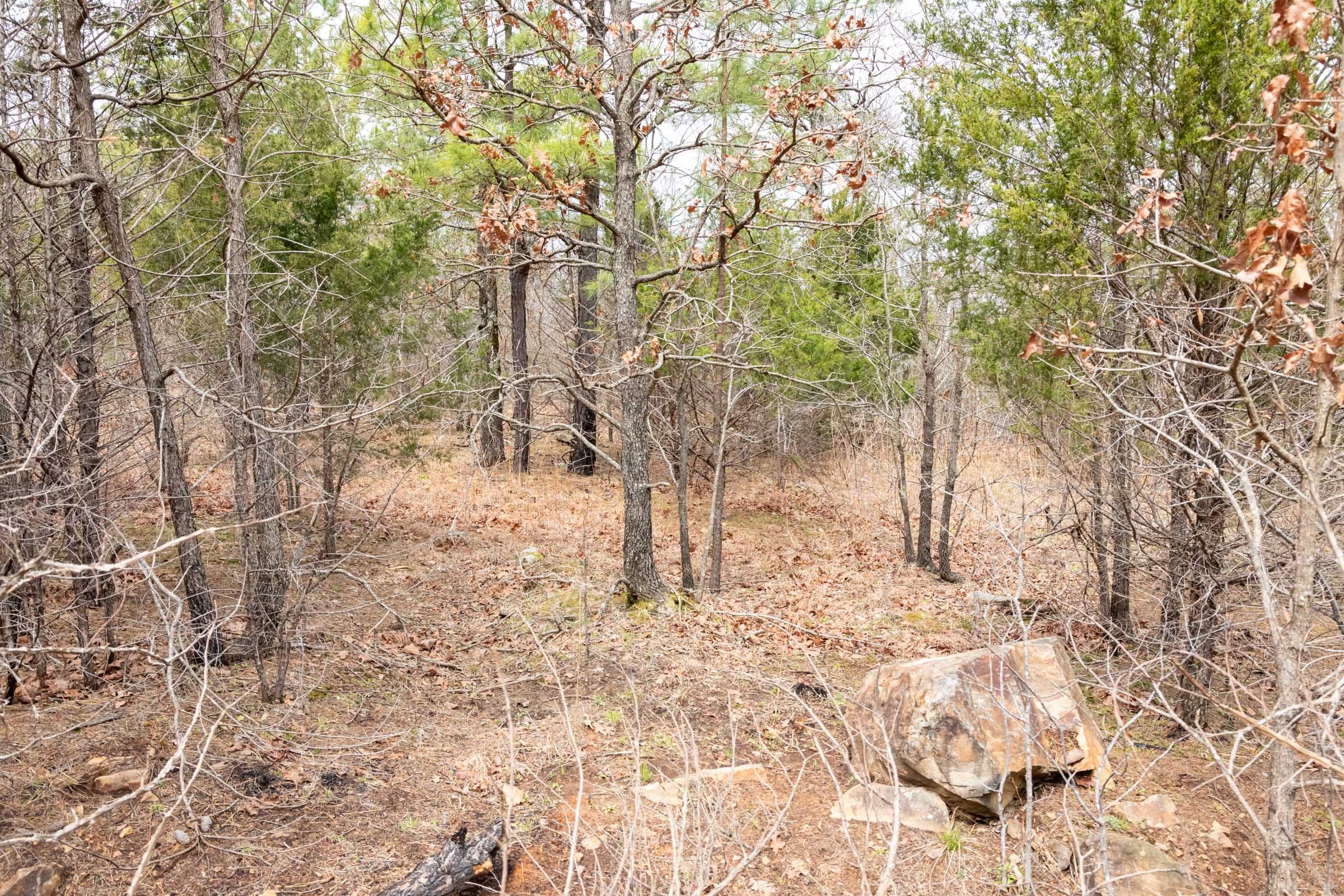 Stone Bridge Phase III Tract 173 photo 6