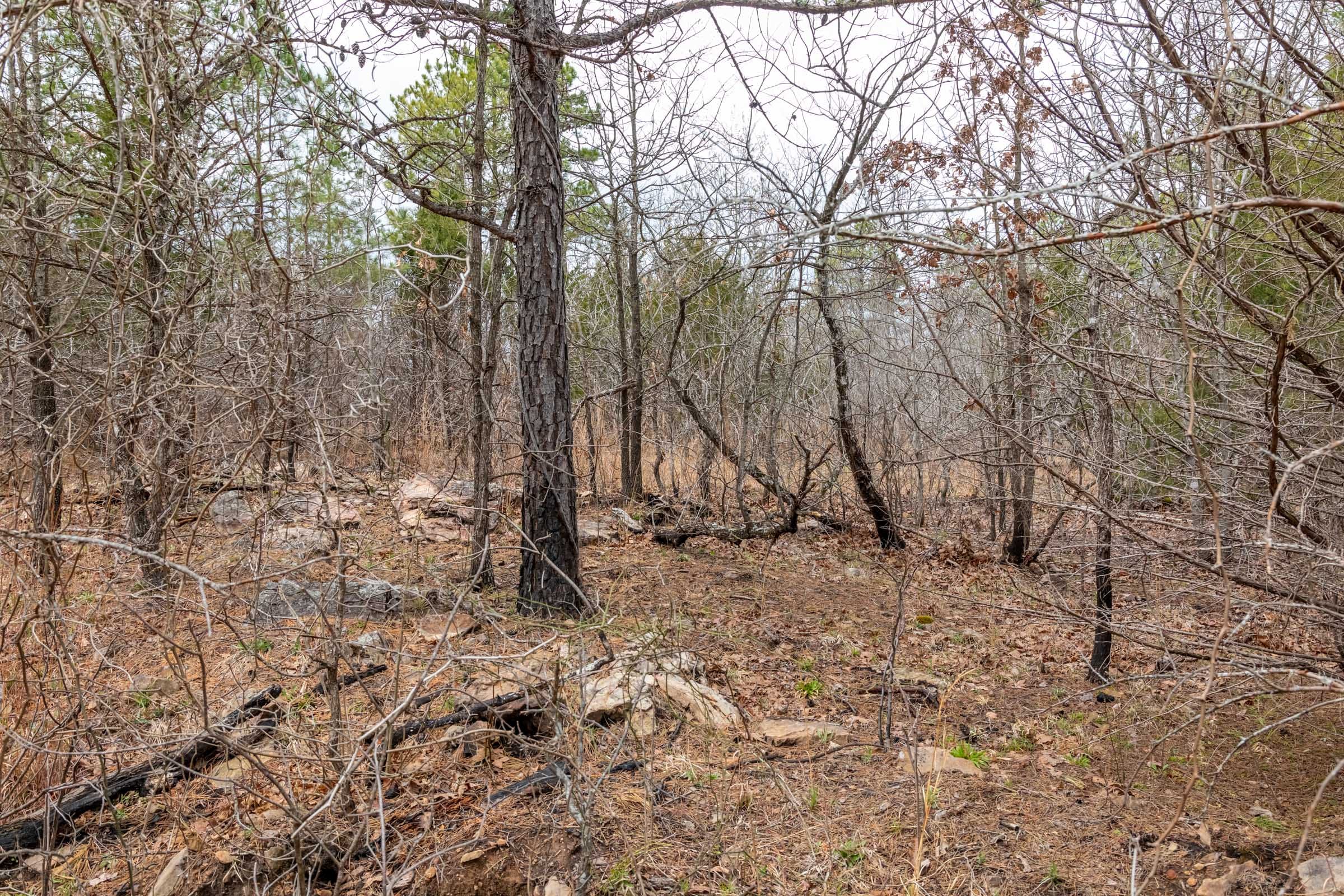 Stone Bridge Phase III Tract 173 photo 7