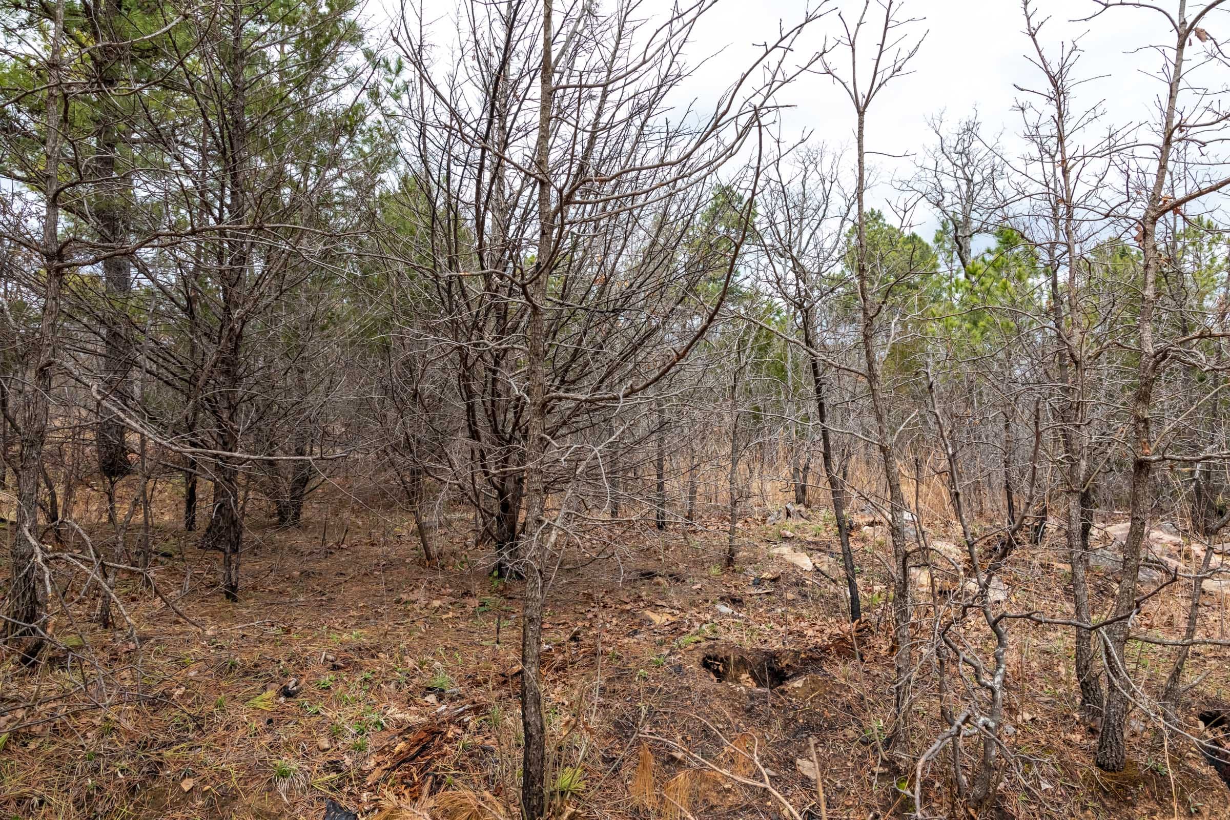 Stone Bridge Phase III Tract 173 photo 8