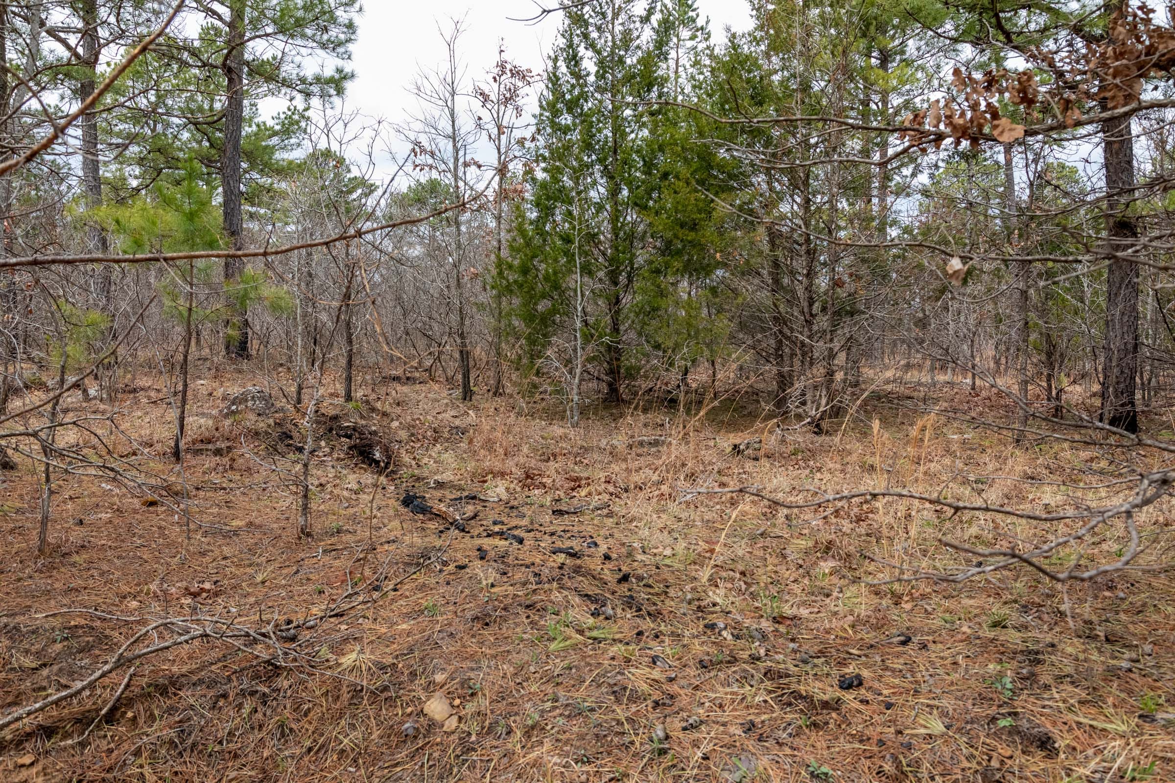 Stone Bridge Phase III Tract 173 photo 9