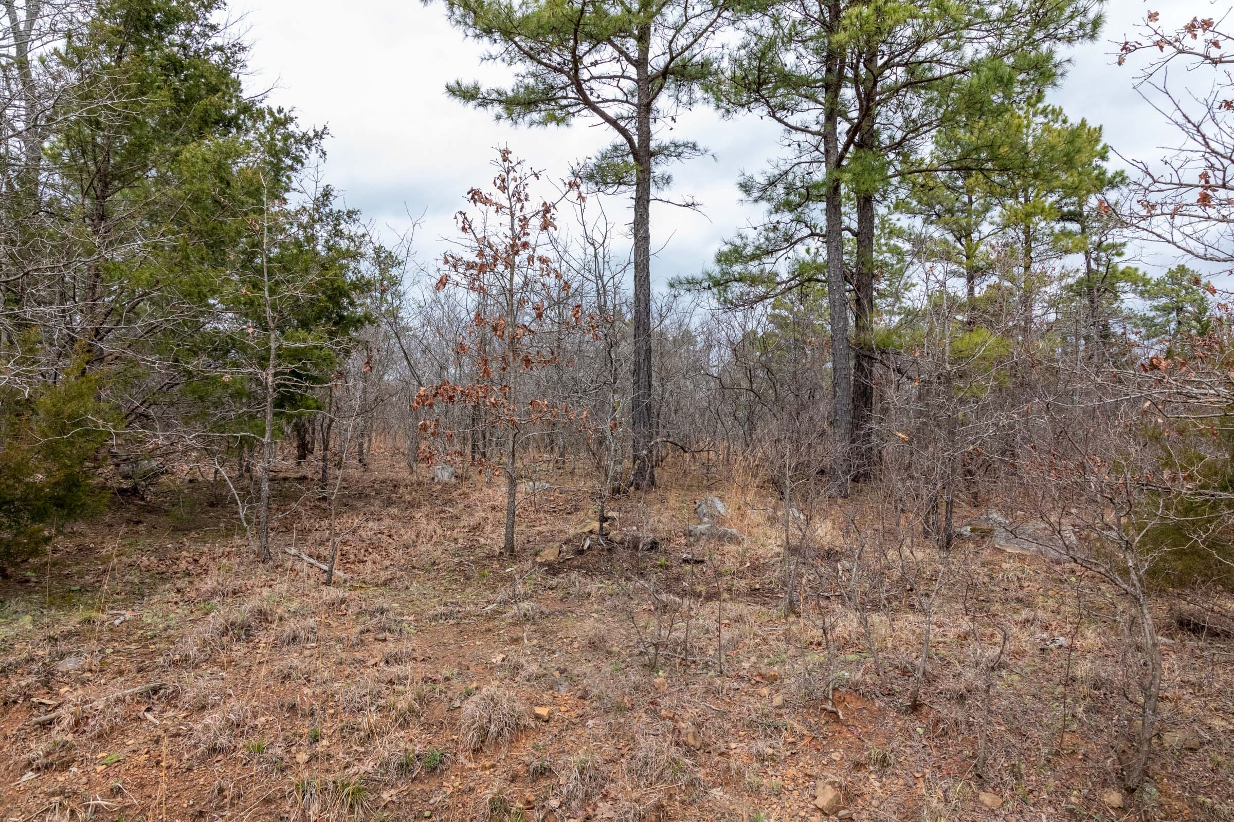 Stone Bridge Phase III Tract 173 photo 10