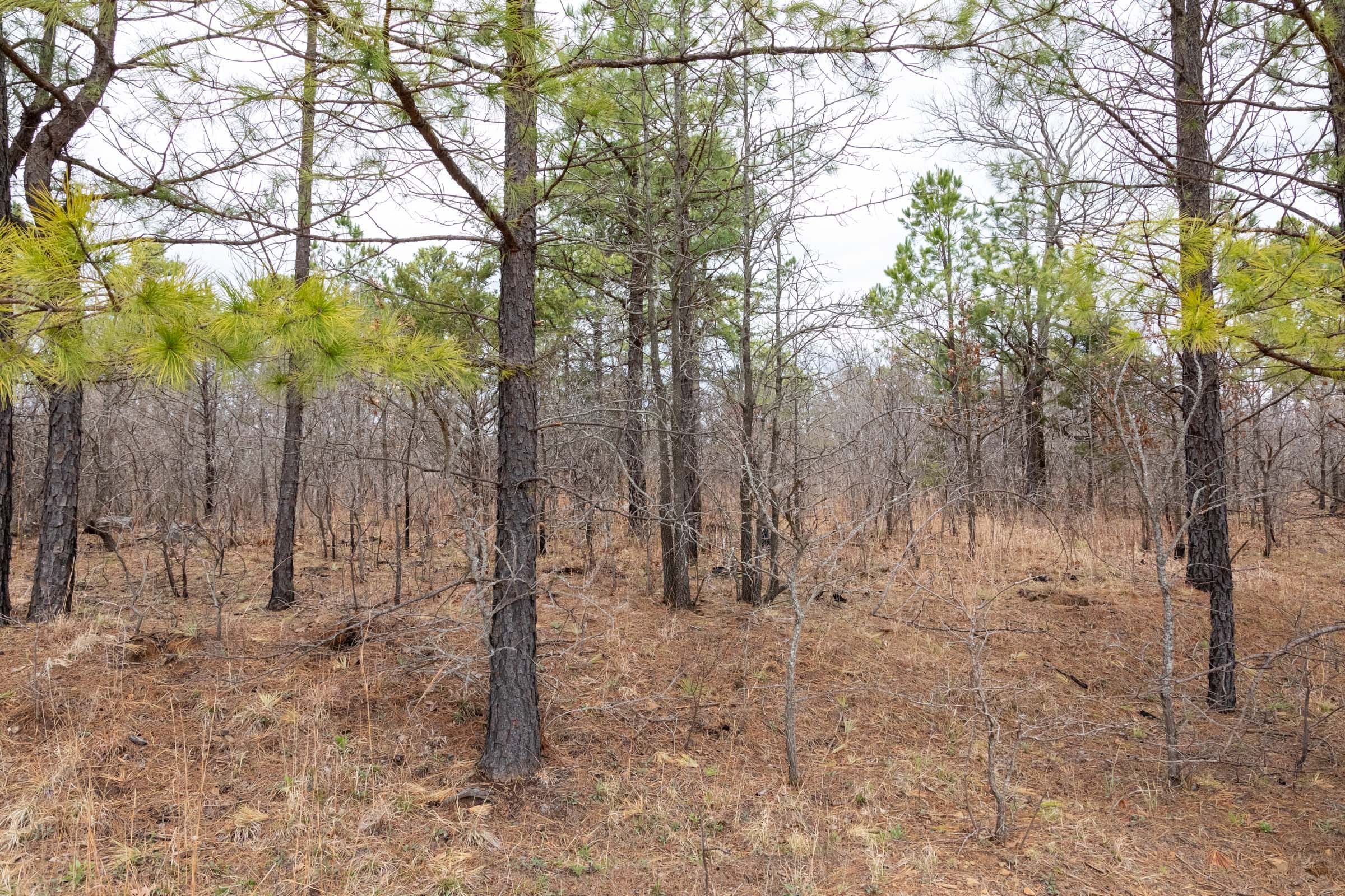 Stone Bridge Phase III Tract 173 photo 12