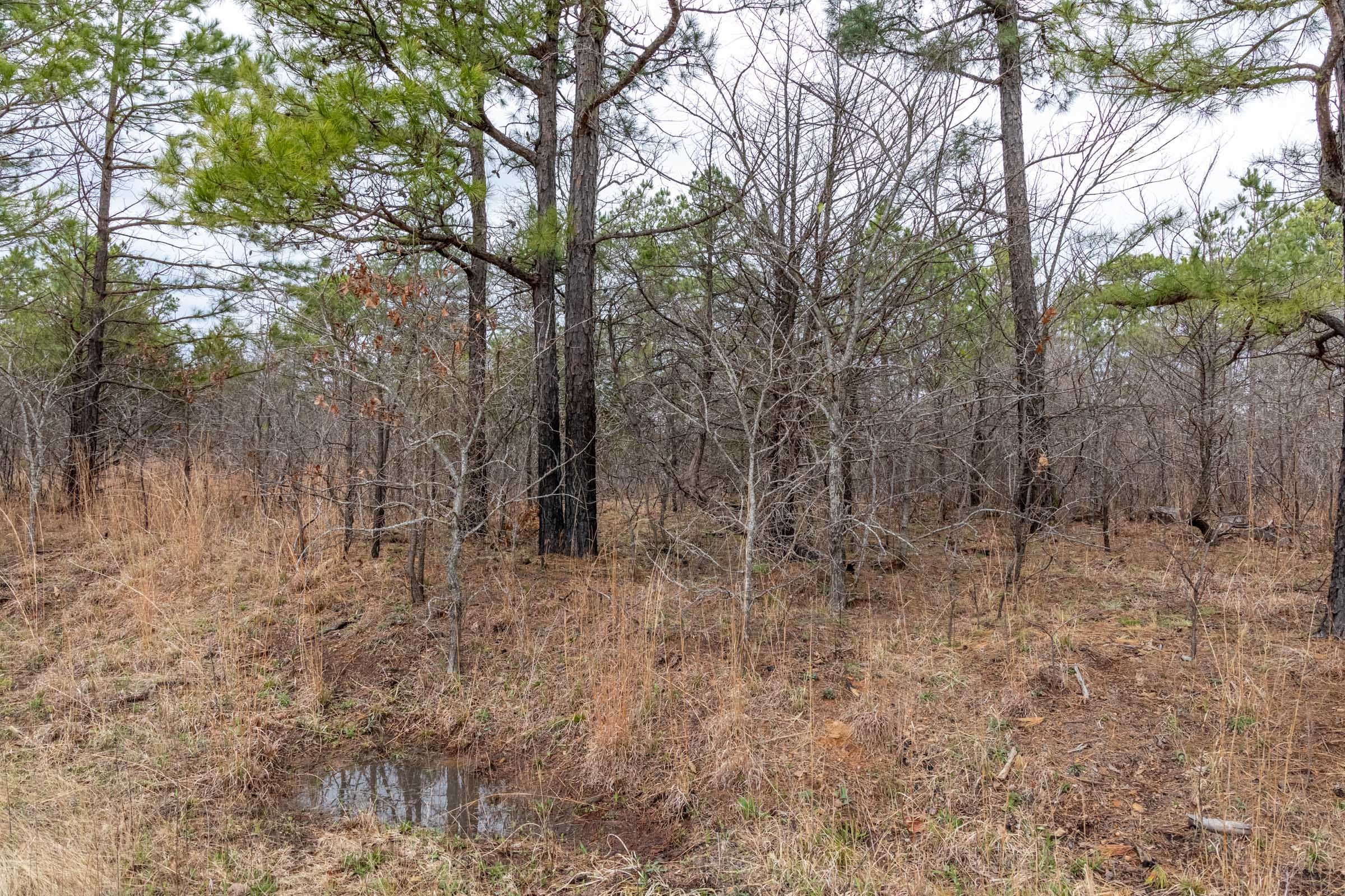 Stone Bridge Phase III Tract 173 photo 13