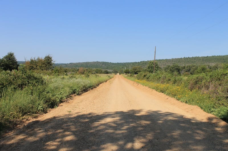 Daisy Meadows Tract 24 photo 1