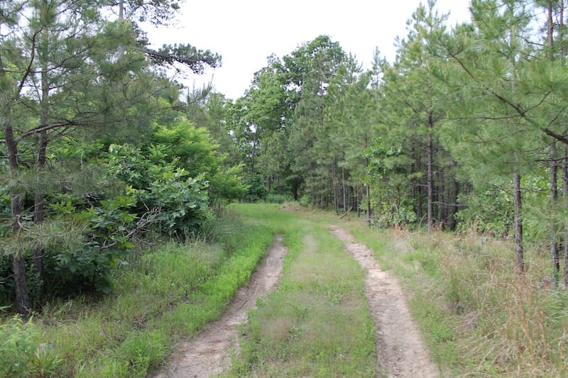 Indian Ridge – Phase II Tract 45 photo 1