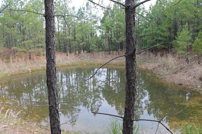 Indian Ridge – Phase II Tract 45 photo 2