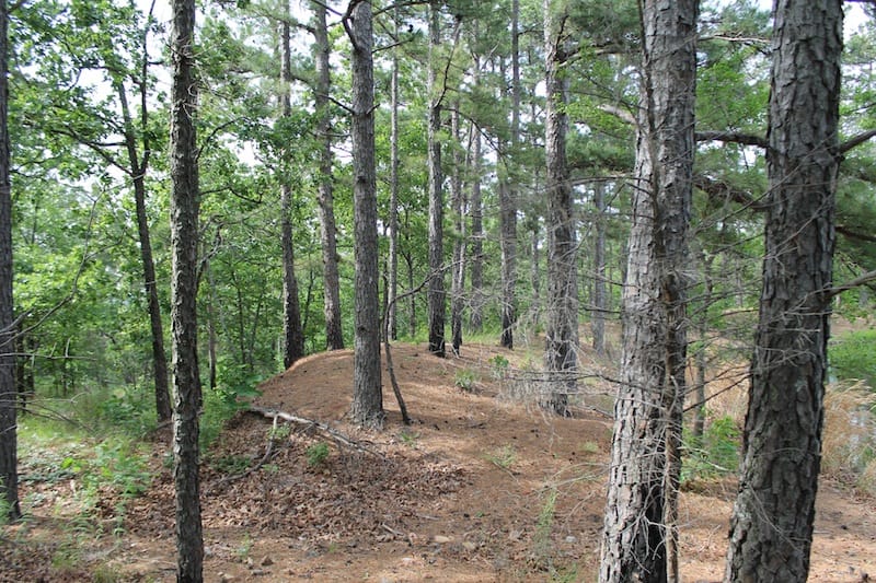 Indian Ridge – Phase II Tract 45 photo 3