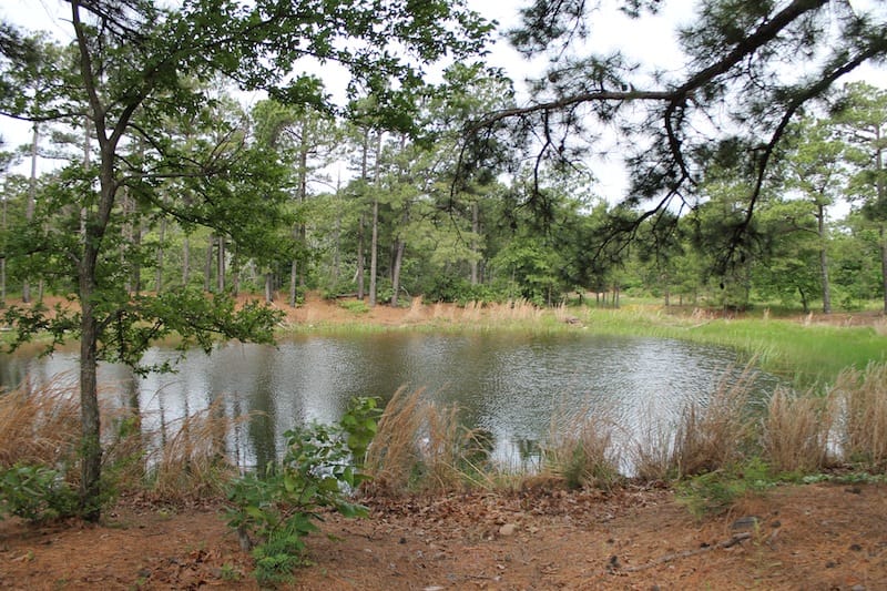 Indian Ridge – Phase II Tract 45 photo 5