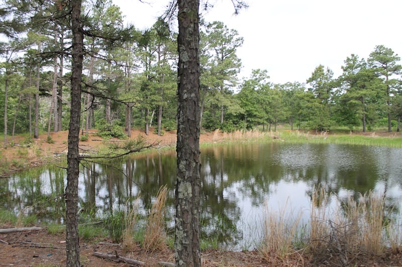 Indian Ridge – Phase II Tract 45 photo 6