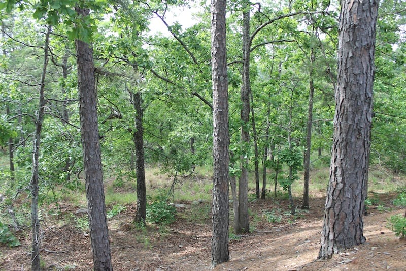 Indian Ridge – Phase II Tract 45 photo 7