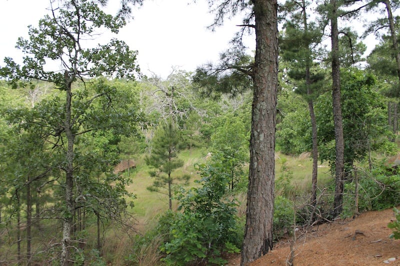 Indian Ridge – Phase II Tract 45 photo 8