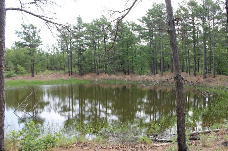 Indian Ridge – Phase II Tract 45 photo 9