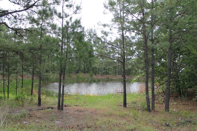 Indian Ridge – Phase II Tract 45 photo 10
