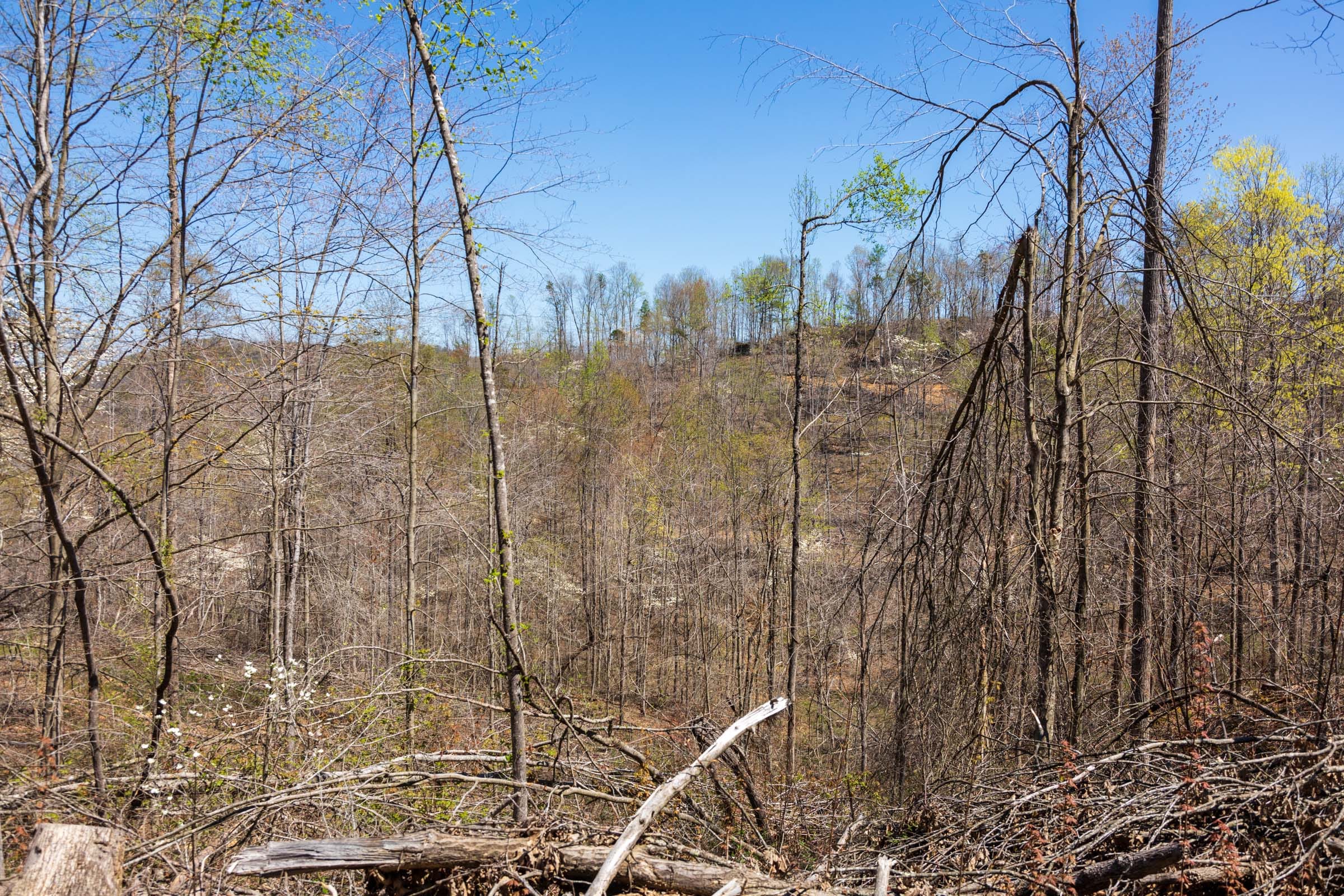 Creek Hollow Phase I Tract 52 photo 3