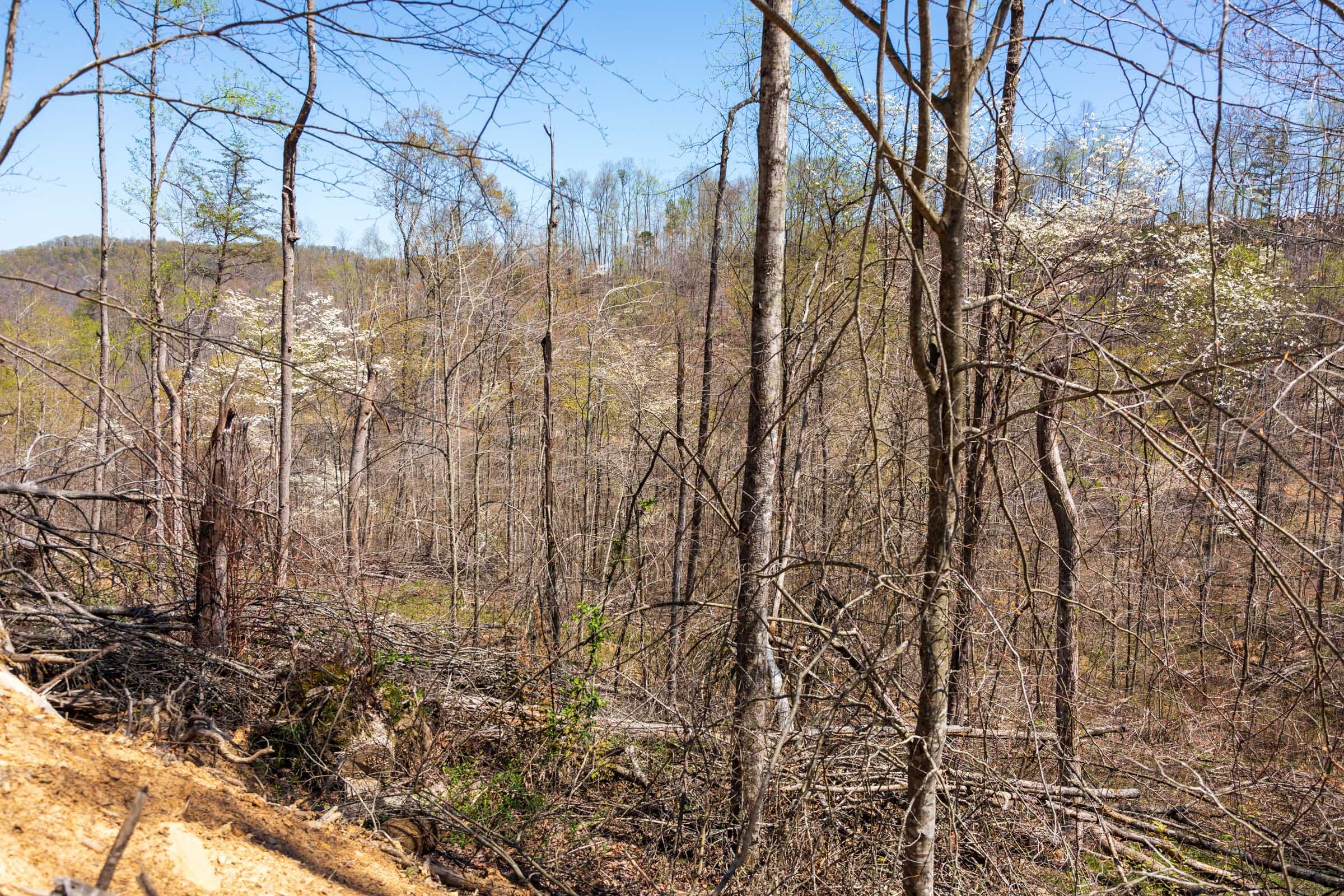Creek Hollow Phase I Tract 52 photo 5