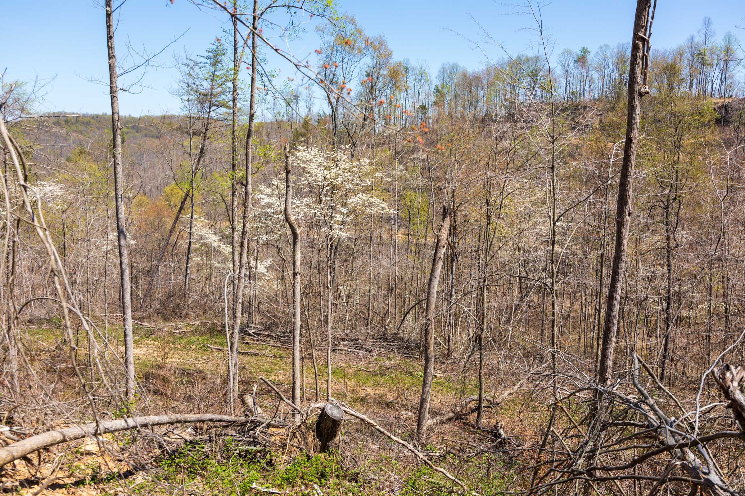 Creek Hollow Phase I Tract 52 photo 2