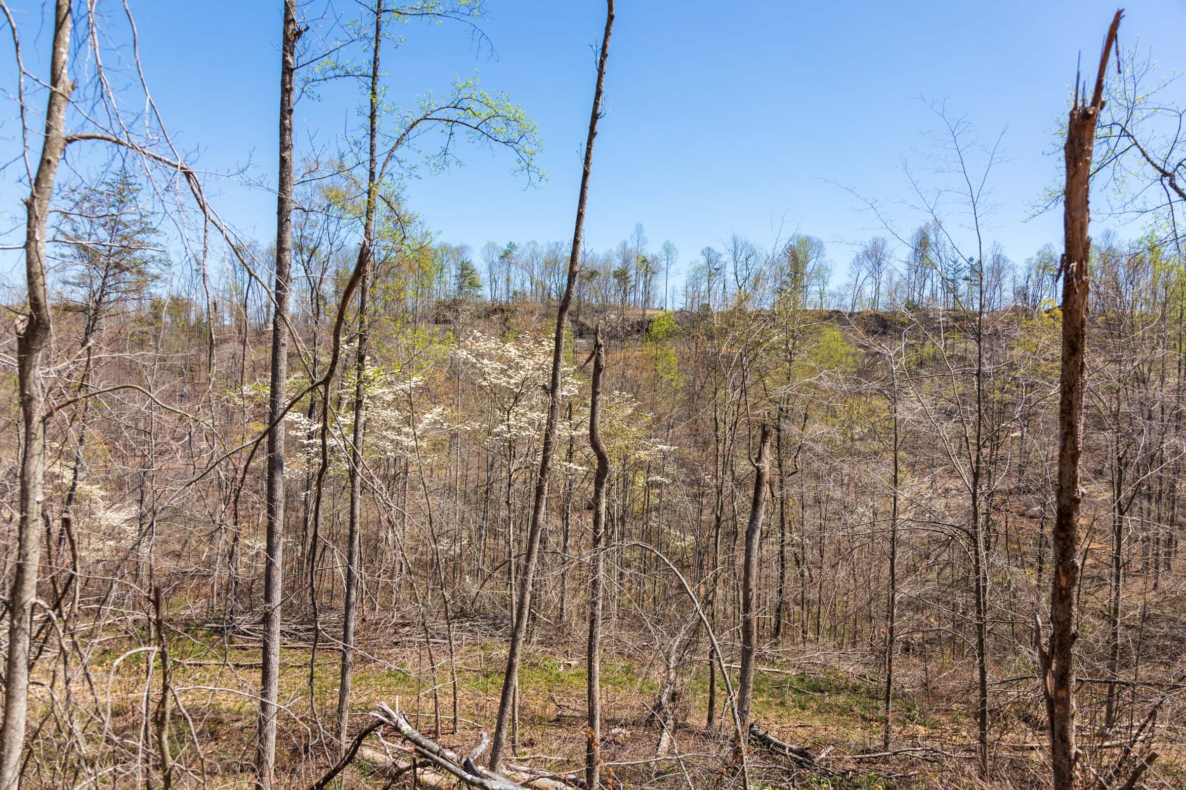Creek Hollow Phase I Tract 52 photo 4