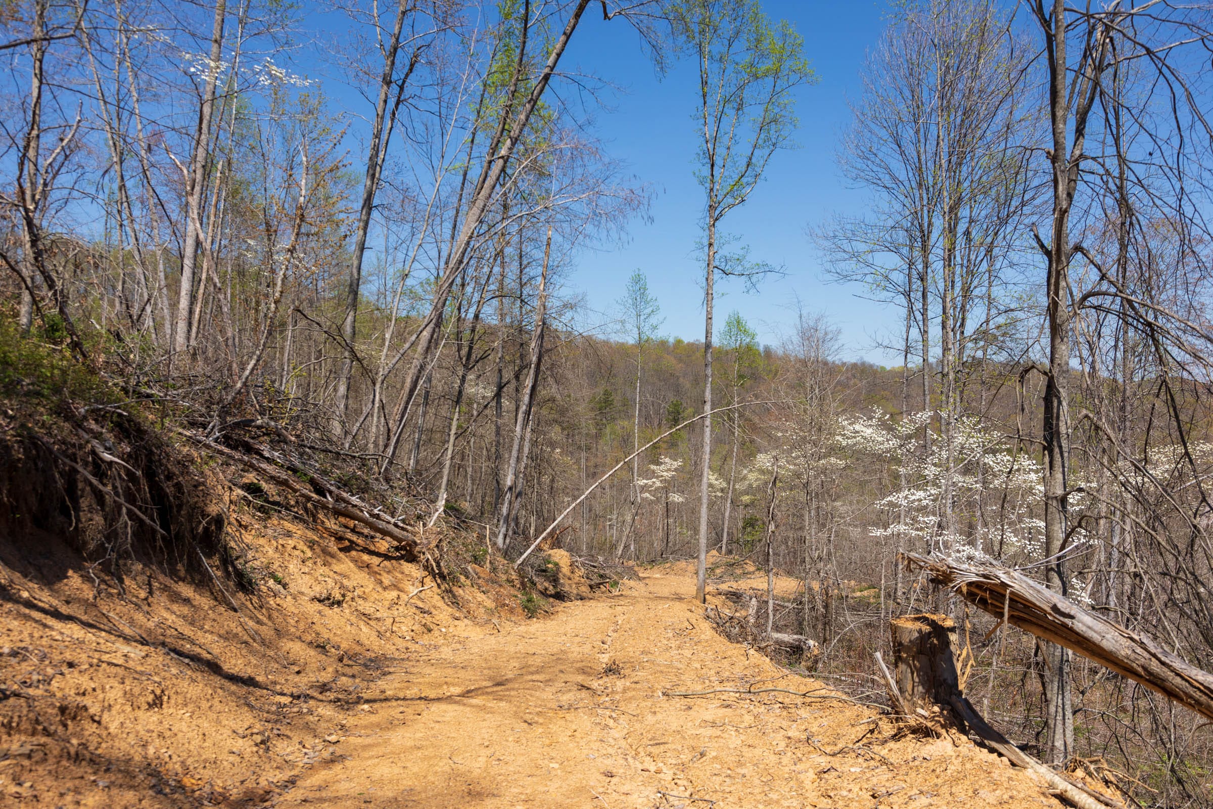 Creek Hollow Phase I Tract 52 photo 1