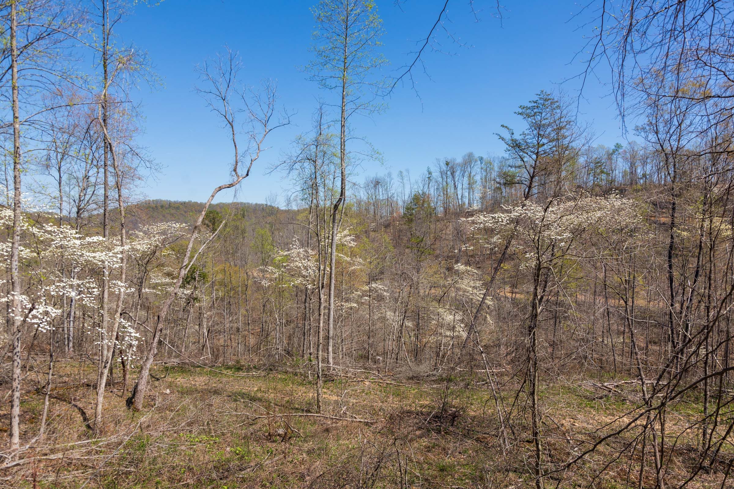 Creek Hollow Phase I Tract 52 photo 6