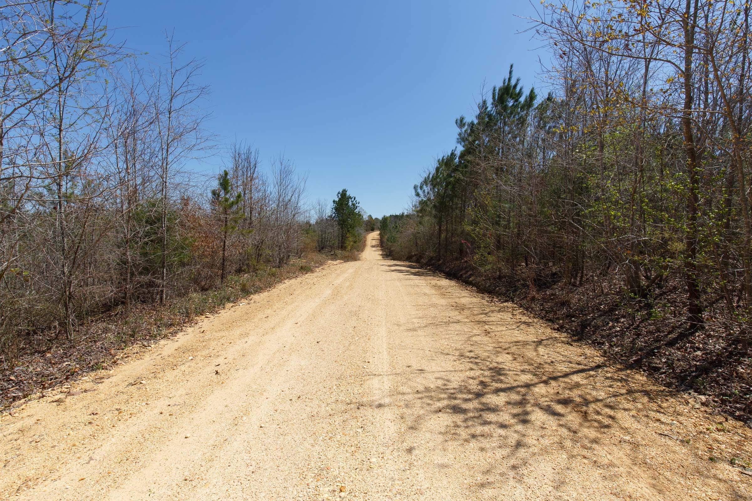 Southern Hills Tract 4 photo 2