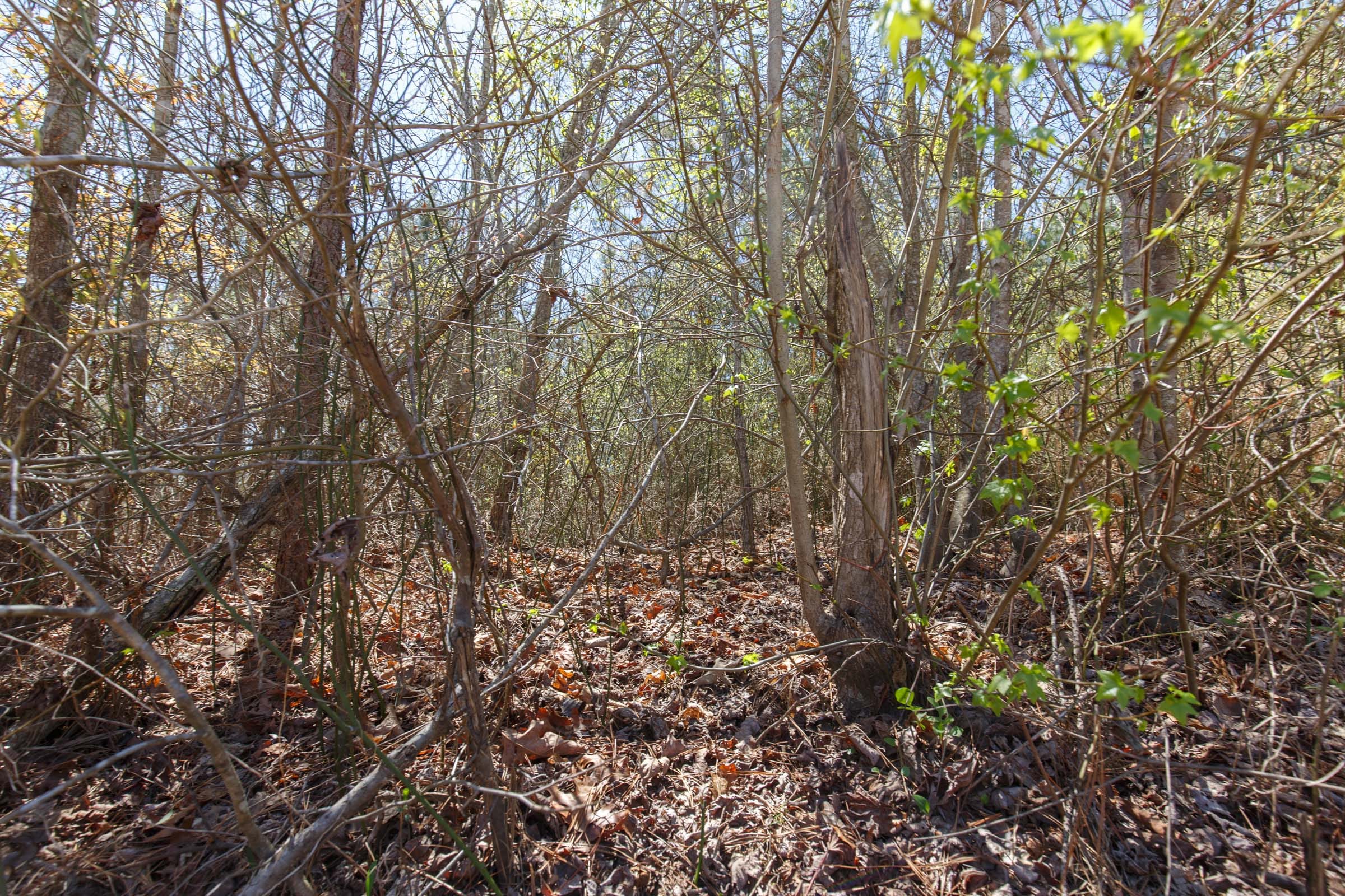 Southern Hills Tract 4 photo 7