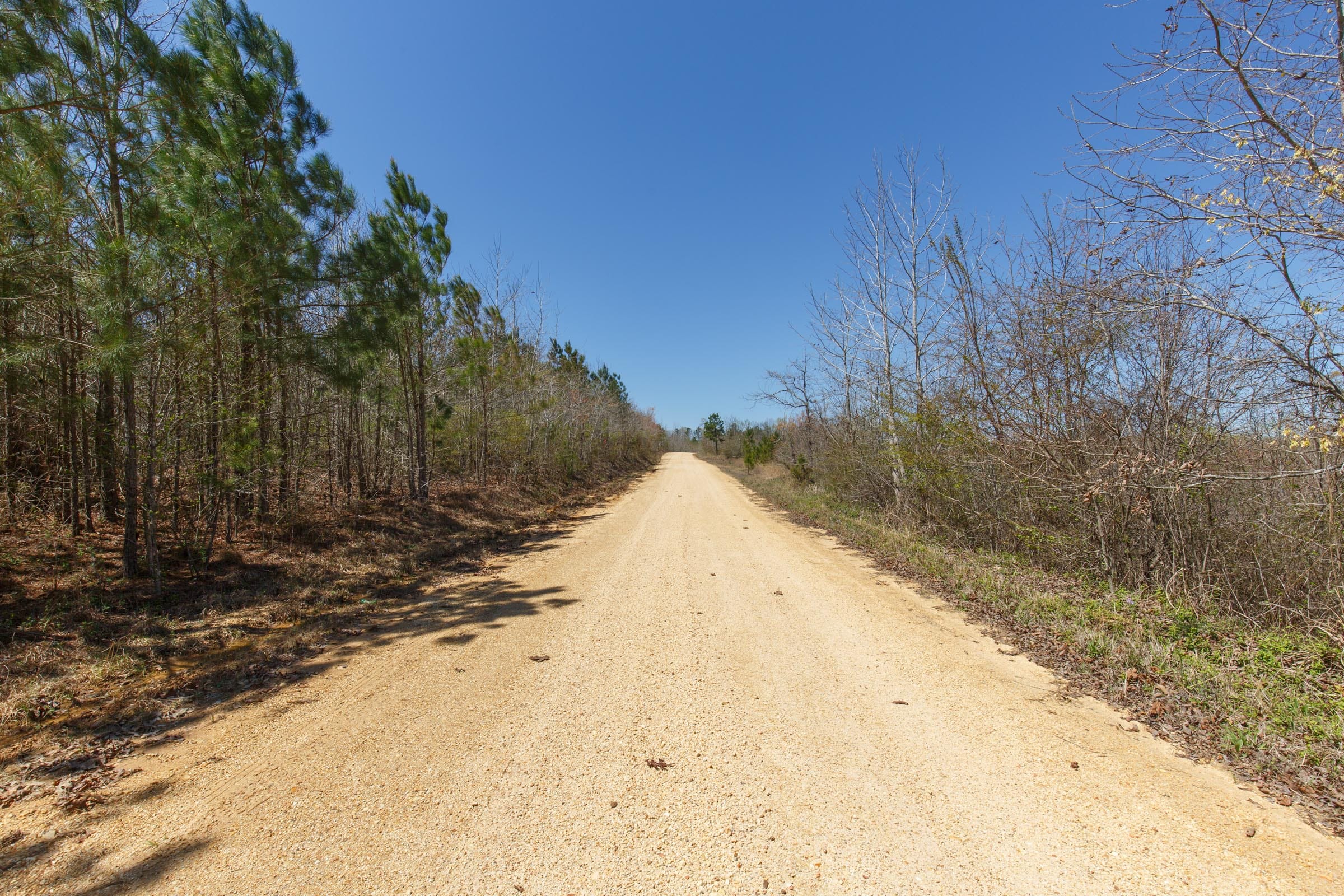Southern Hills Tract 4 photo 6
